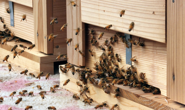 蜜蜂巣箱の簡単な手作り方法や作り方・DIY・レシピ