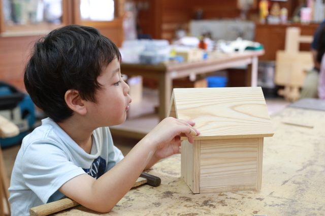 小学5年生自由研究の簡単な手作り方法や作り方・DIY・レシピ