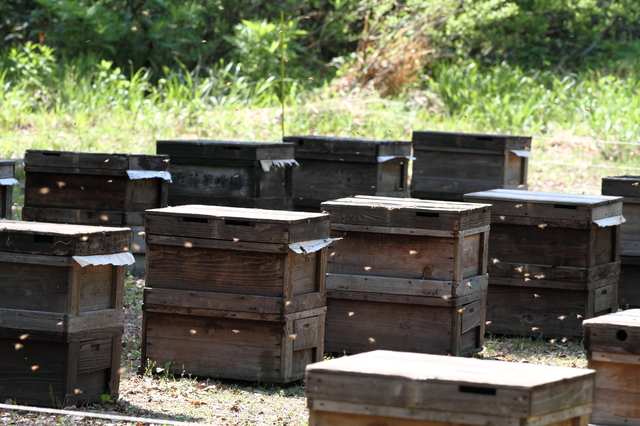 ミツバチの巣箱の簡単な手作り方法や作り方・DIY・レシピ